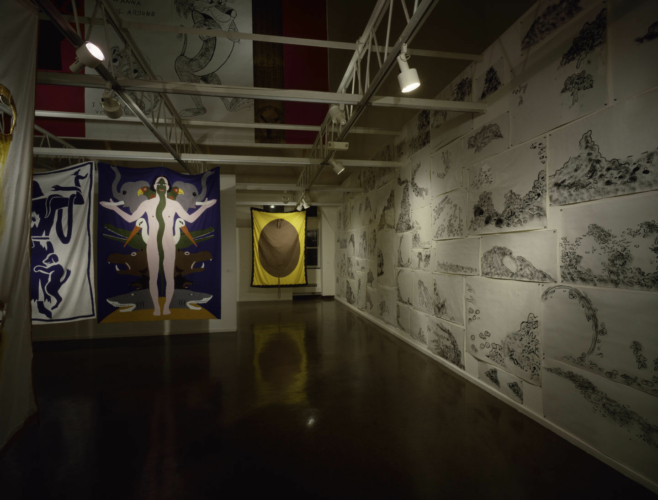 Installation view, The Renaissance Society at the University of Chicago, Chicago, 1988.