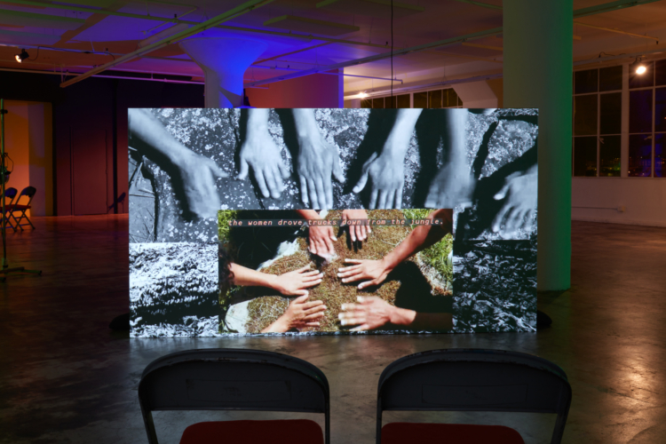 Sofía Córdova, GUILLOTINÆ WannaCry, Green: Savage Sauvage Salvaje 2022. Video, color, black and white, original sound composition (with Matthew Gonzalez Kirkland), 34 min. 35 sec. Performances by Rashaun Mitchell, Meg Jala, Sofía Córdova. Narration by Imani Mason Jordan. The Wreck and Not the Story of the Wreck, JOAN, Los Angeles, 2024.